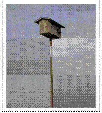 tyto2.gif